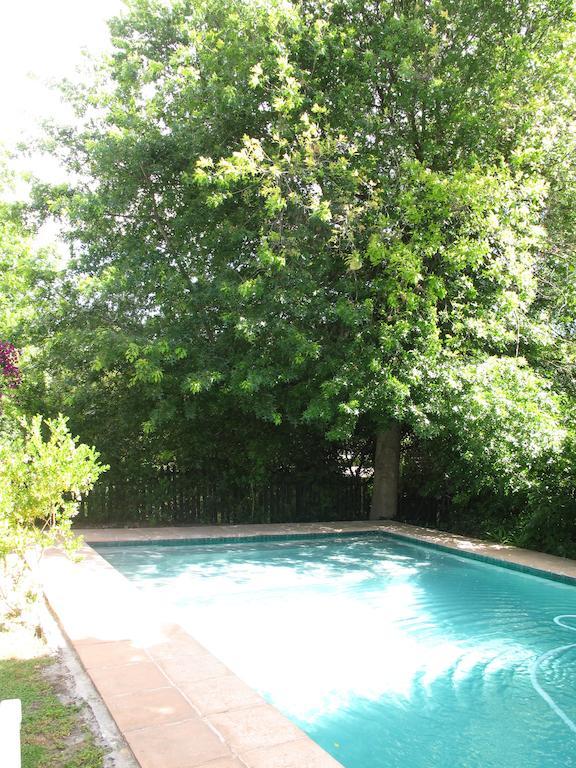 Appartement Sunny Lane à Franschhoek Extérieur photo
